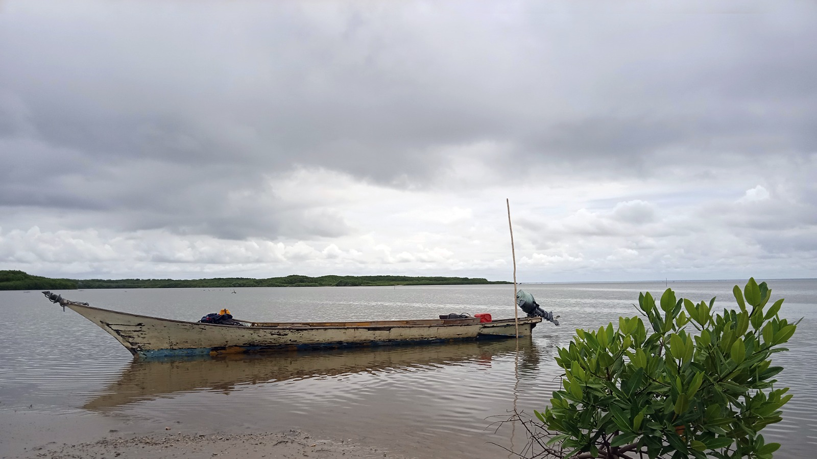 Naturaleza del Zulia